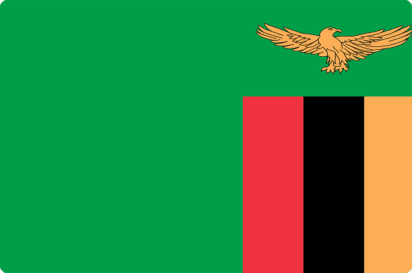 Green field with eagle and stripes