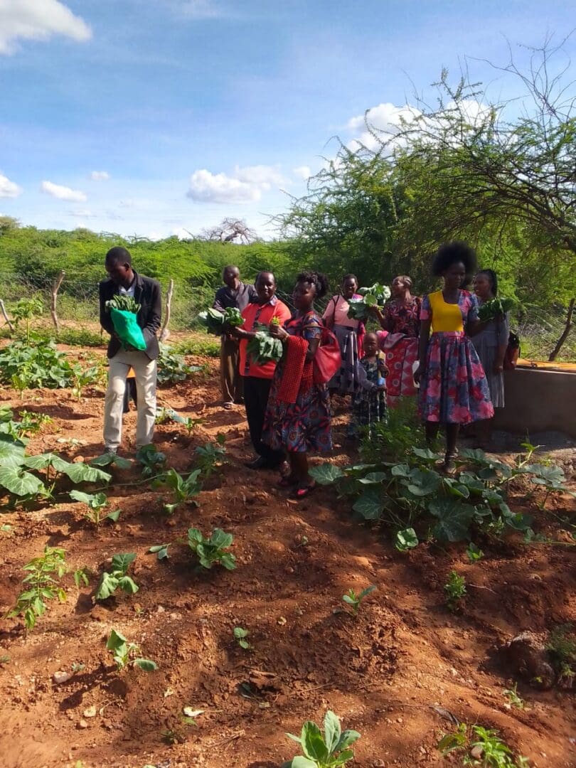 Community gardeners harvesting vegetables in sunny field